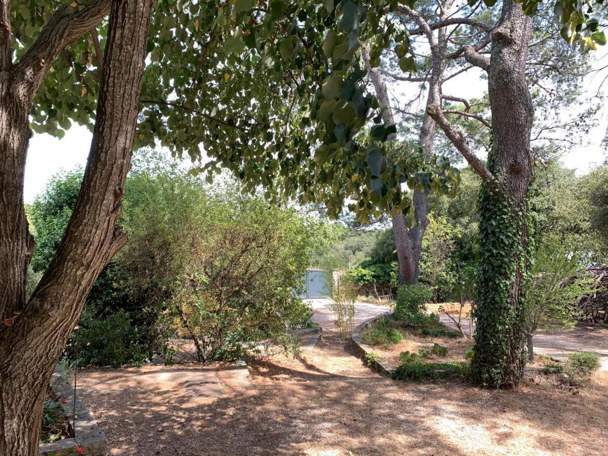 Mazet Proche Golf Villa Nimes Bagian luar foto