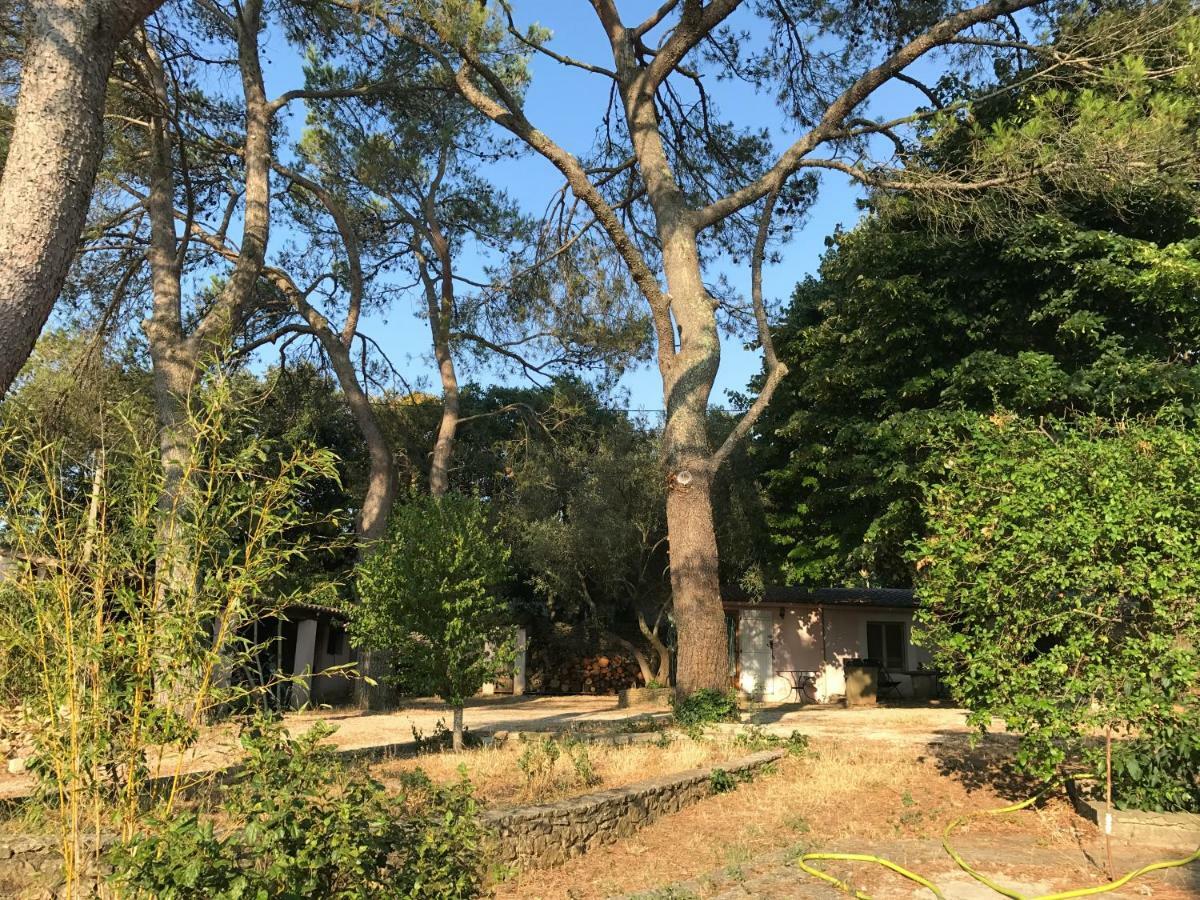 Mazet Proche Golf Villa Nimes Bagian luar foto